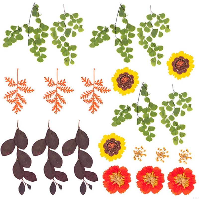 زهرة مجففة مضغوطة لقوالب الرات - مراجعة Art Craft With Leaves وسعره