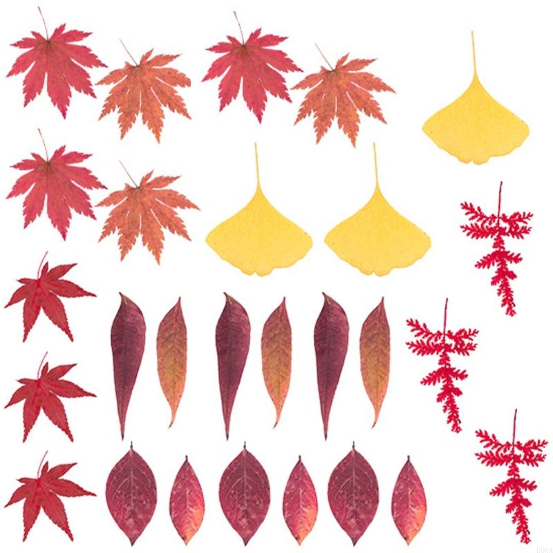 زهرة مجففة مضغوطة لقوالب الرات - مراجعة Art Craft With Leaves وسعره